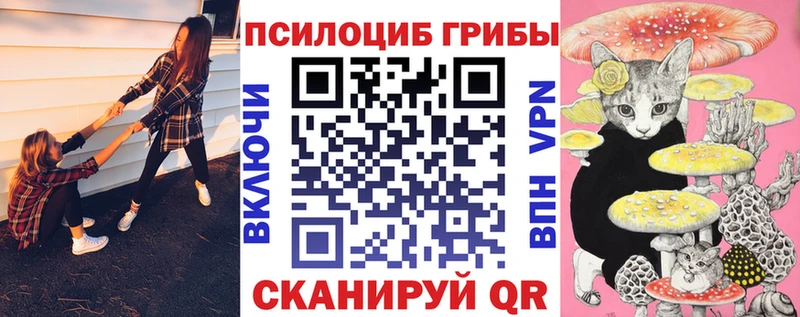 наркотики  Георгиевск  Псилоцибиновые грибы MAGIC MUSHROOMS 