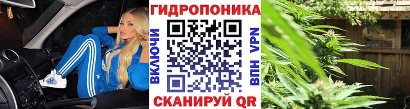 Каннабис Ganja  Георгиевск 